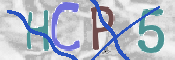 この文字を入力してください