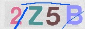 この文字を入力してください