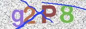 この文字を入力してください