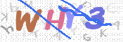 この文字を入力してください