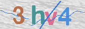 この文字を入力してください