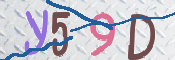 この文字を入力してください