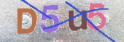 この文字を入力してください