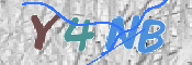 この文字を入力してください