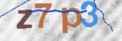 この文字を入力してください