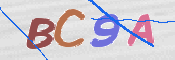 この文字を入力してください