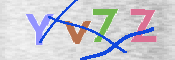 この文字を入力してください