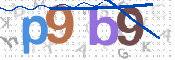 この文字を入力してください