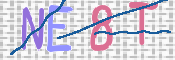 この文字を入力してください