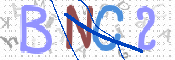 この文字を入力してください