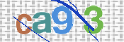この文字を入力してください