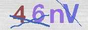 この文字を入力してください