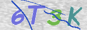 この文字を入力してください