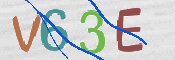 この文字を入力してください