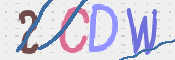 この文字を入力してください