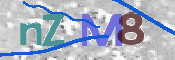 この文字を入力してください