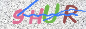 この文字を入力してください