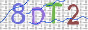 この文字を入力してください