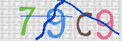 この文字を入力してください