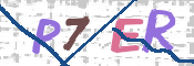 この文字を入力してください