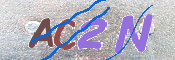 この文字を入力してください