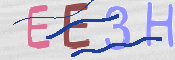 この文字を入力してください