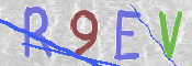 この文字を入力してください