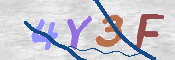 この文字を入力してください