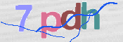 この文字を入力してください