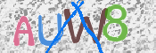 この文字を入力してください