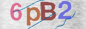 この文字を入力してください