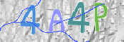 この文字を入力してください