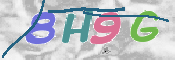 この文字を入力してください