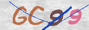 この文字を入力してください