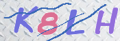 この文字を入力してください