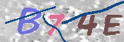 この文字を入力してください