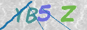 この文字を入力してください