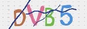 この文字を入力してください