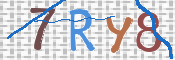 この文字を入力してください