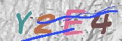 この文字を入力してください