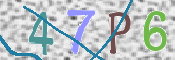 この文字を入力してください