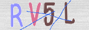 この文字を入力してください
