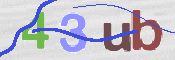 この文字を入力してください
