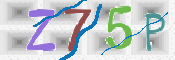 この文字を入力してください