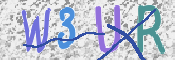 この文字を入力してください