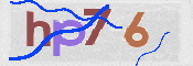 この文字を入力してください