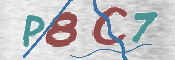 この文字を入力してください