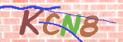 この文字を入力してください