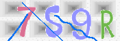 この文字を入力してください