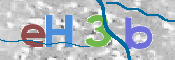 この文字を入力してください